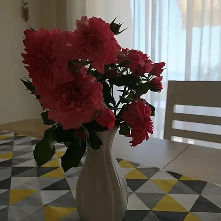Pejic,makarska,veliko Brdo Apartamento